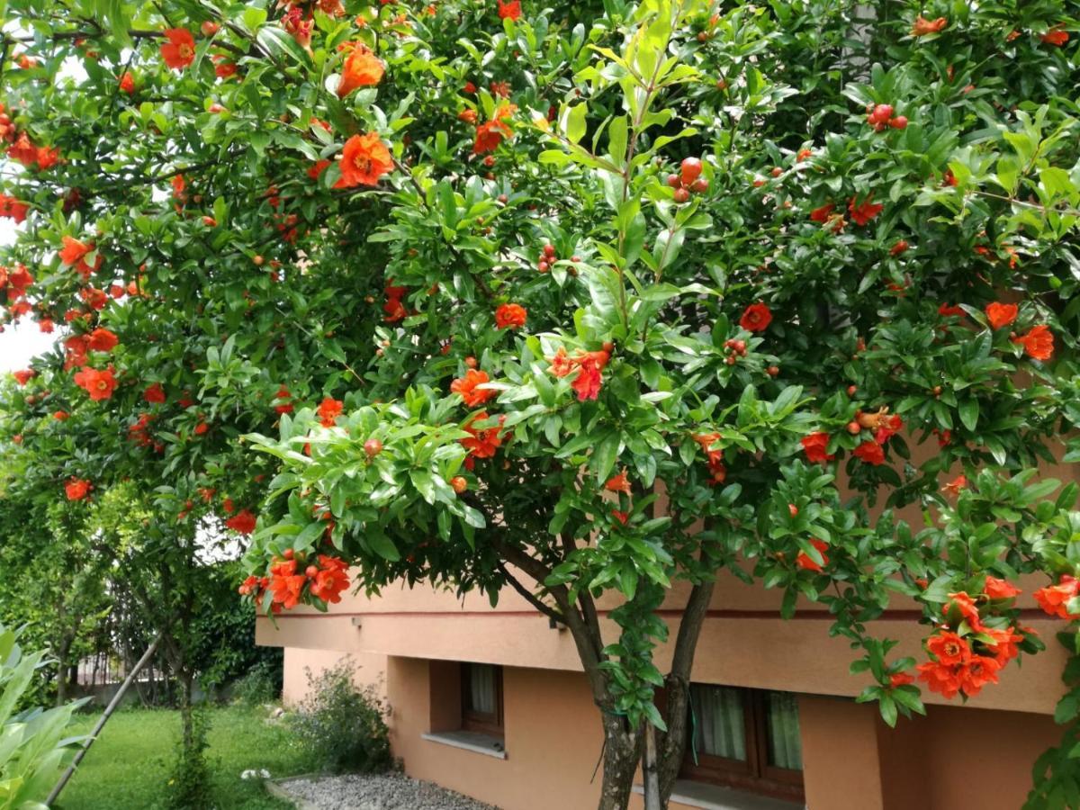 Casa Vacanze - Sportholiday House Segusino-Valdobbiadene Sequsino Kültér fotó